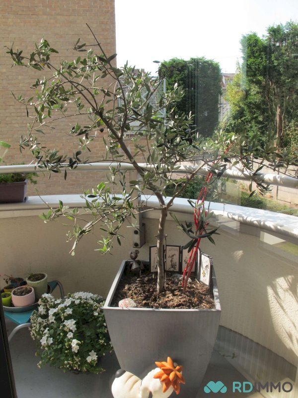 À vendre à Lille : T3 avec balcon et parking